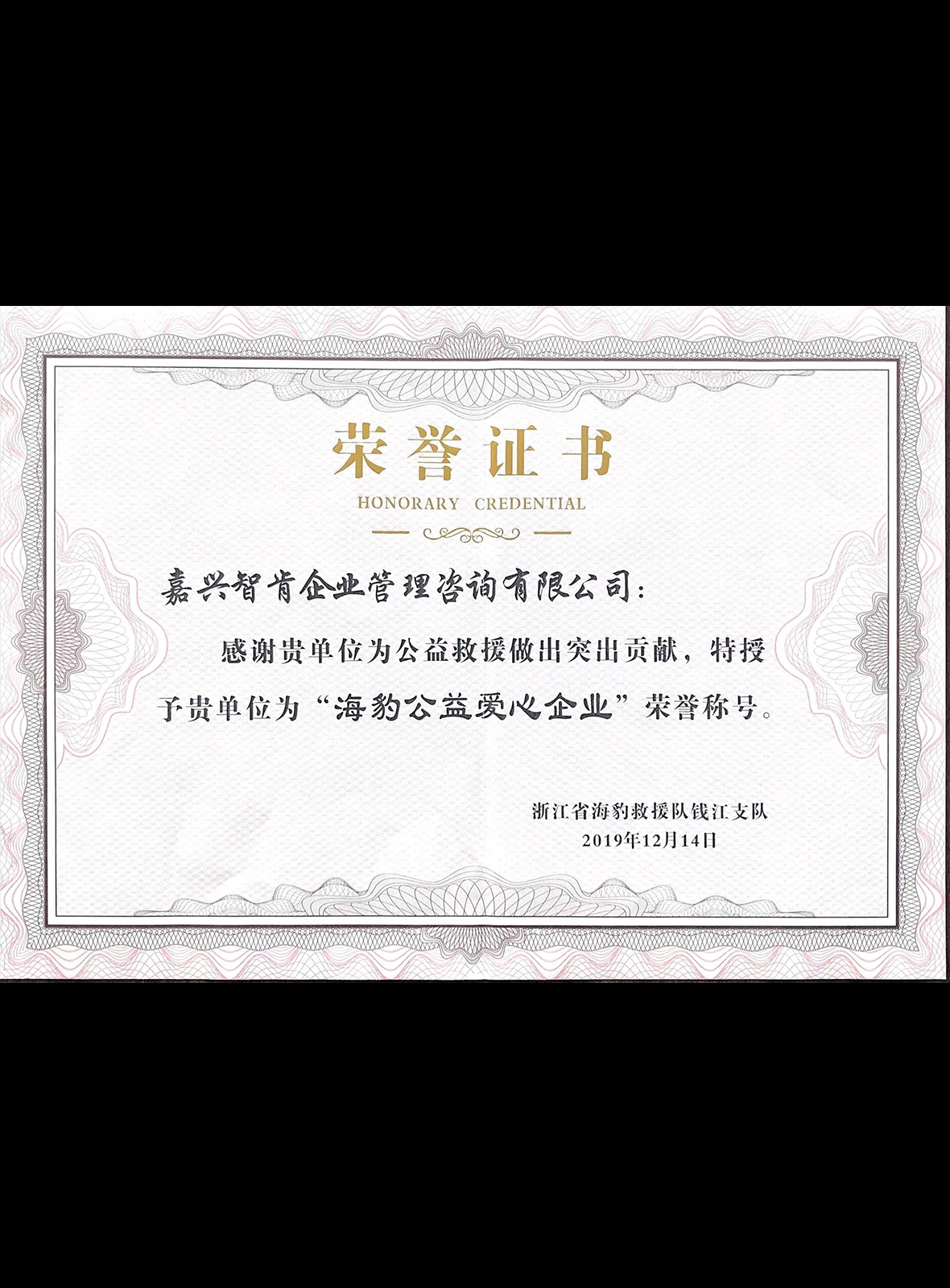 海豹公益爱心